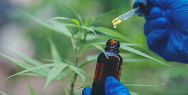 cbd extraction methods